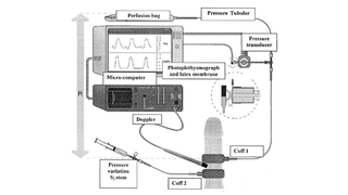 Illustration for article titled Darren Sharper's "Penis Monitoring" Is Evil, Retrograde Bullshit